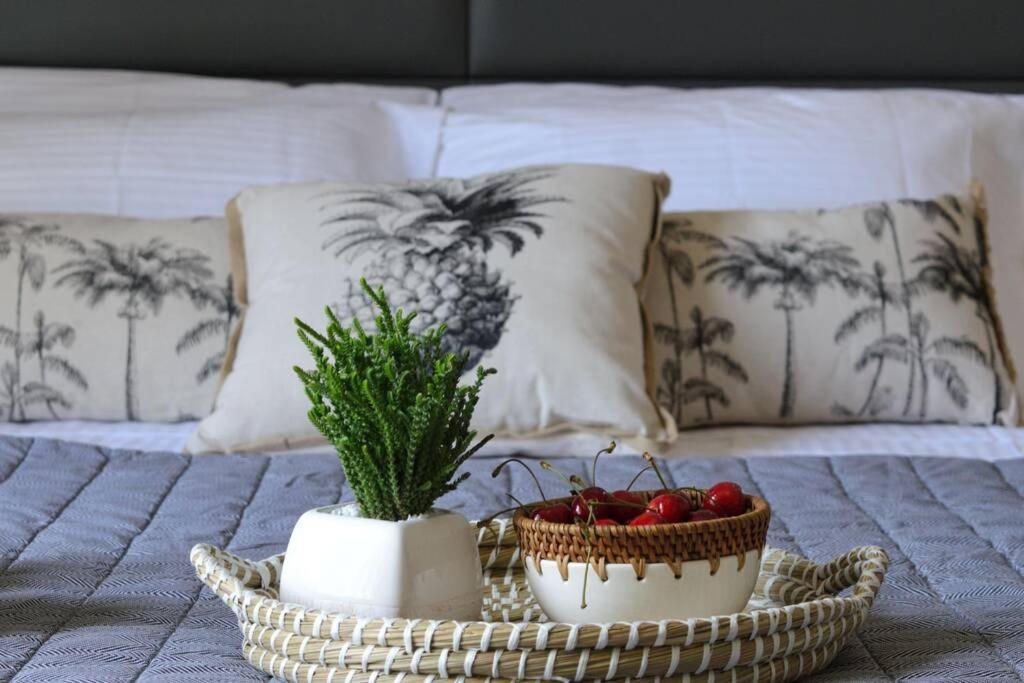 Aelia Apartment Lixouri Dış mekan fotoğraf